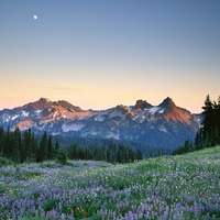Moon Rising Over the Tatoosh Range Mount Rainier National Park Washington