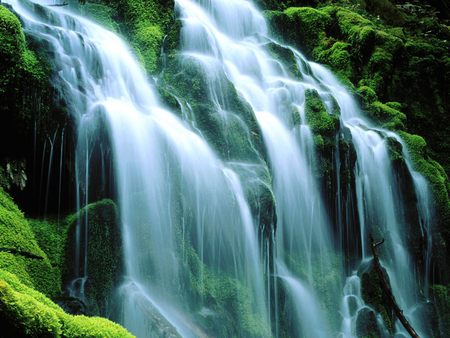 Sodden Moss Proxy Falls - waterfalls, mountain