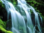 Sodden Moss Proxy Falls