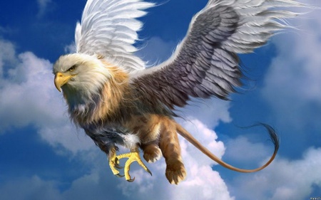 griffon