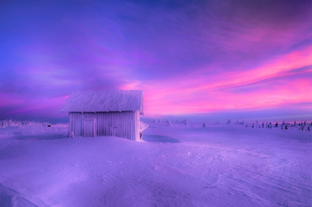 Cold Pink Silence - clouds, Norway, winter, cabin, beautiful, snow, snowy field, sunrise, cold, sky