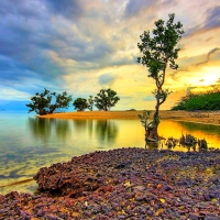 Island Beach At Sunset