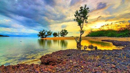 Island Beach At Sunset