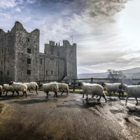 Bolton Castle, Yorkshire, England