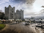 Bolton Castle, Yorkshire, England