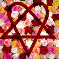 â™¥Heartagram & Rosesâ™¥