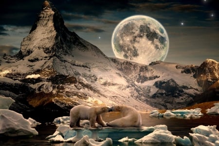 Nature - moon, ice, bears, mountain, snow