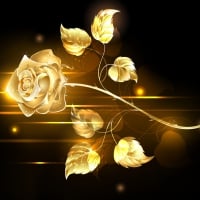 Golden Rose