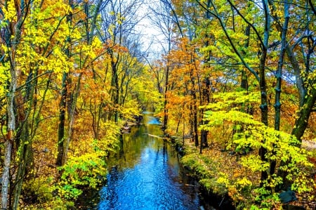 AUTUMN NATURE - streams, sky, autumn, landscape, nature, forest, splendor, seasons, leaves, enchanting nature