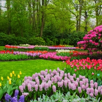 Park Garden in Spring