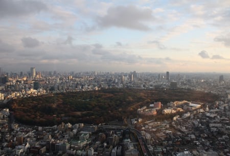 Tokyo - clouds, japan, yayogi, scenery, tokyo, city, park, japanese