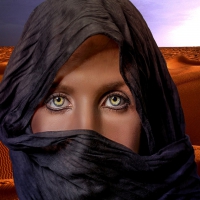 Veiled Beauty