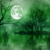 Full Moon Landscape