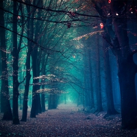 Fantastic Fantasy Forest