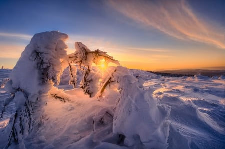 Winter Sun - sky, sun, winter, nature, winter time, clouds, snow, sunrays, snowy, sunrise