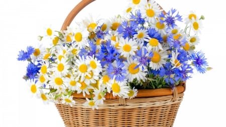 Flowers in a Basket - basket, cornflowers, daisies, wildflowers