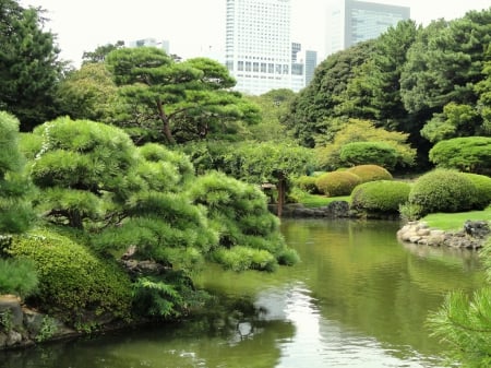 Shinjuku Gyoen - japan, nature, tokyo, garden, lake, shinjuku, park, japanese