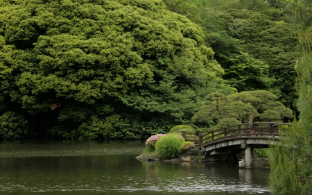 Japanese Garden - shinjuku, nature, lake, japan, tokyo, japanese, garden