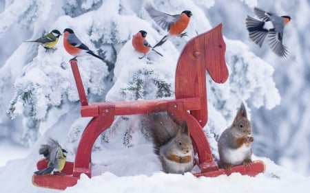 Birds and squirrels - bird, winter, snow, pink, horse, toy, white, animal, emi, squirrel