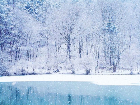 wintry weather - nature, lake, trees, snow