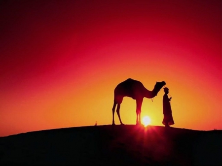 Sunrise over the desert - camel, nature, sunrise, orange, man, sun