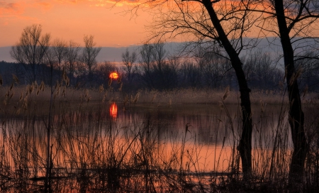 Sunset - trees, amazing, sunset, river