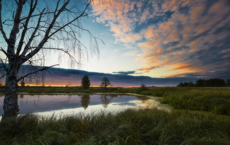 Fields - lake, fields, clouds, green