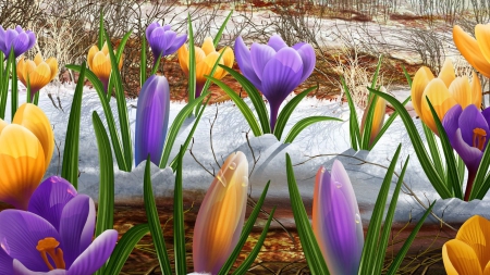 Spring Flowers - flowers, digital art, spring, nature