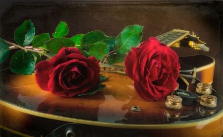 Roses - two, still life, roses, red