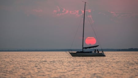 Cruise at sunset - sunset, sea, sun, sailboat