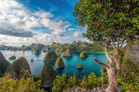 Tropical Paradise - beach, sky, trees, paradise, mountains, west papua, clouds, shrubs, grass, indonesia, travel, islands, summer, tropical, exotic, beautiful, sea