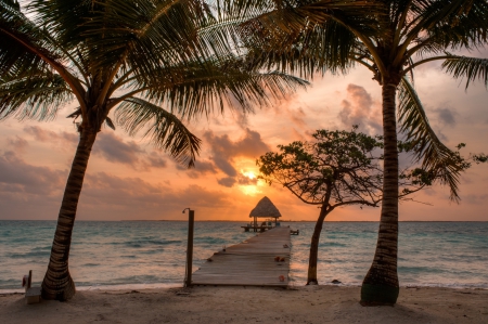 Island Beach Sunrise - beach, sky, paradise, sunset, clouds, sand, palm trees, islands, tropical, summer, palm, belize, caribbean, nature, wooden walkway, beautiful, sea, sunrise