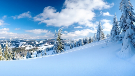 Ski time - clouds, ski, winter, snow, fir, landscape, slope, scene, HD, forest, nature, pine, mountains, sky, wallpaper