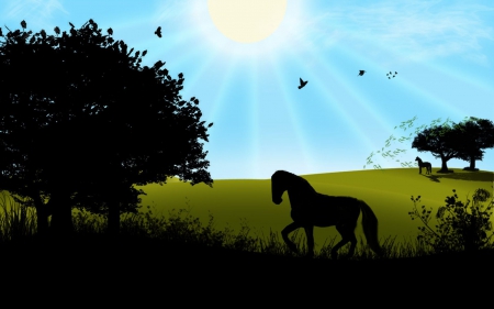 Horse Silhouette - horses, summer, silhouette, summer landscape