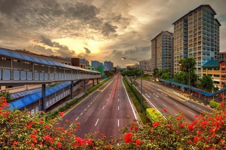 Cityscape and Highway - flowers, cityscapes, photography, architecture, buildings, highways