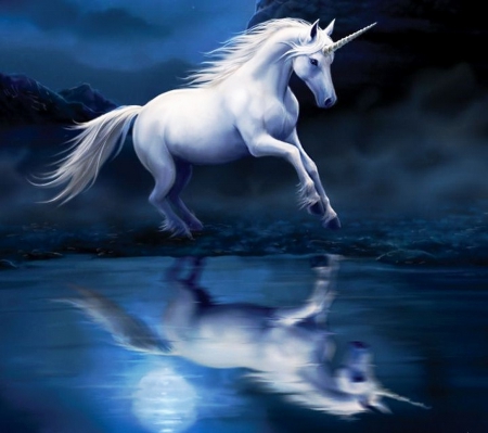 Unicorn - moon, night, running, shore