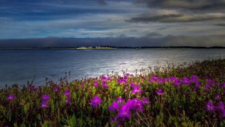 Magical Dusk - sunset, coast, last rays of sunlight, fortress, beautiful, clouds, island, canada, flowers, sea