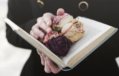 ♥ - memories, roses, book, soft