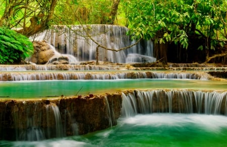 Forest water cascades - greenery, trees, cascades, branches, summer, beautiful, forest, lovely, leaves, nature, waterfall, serenity