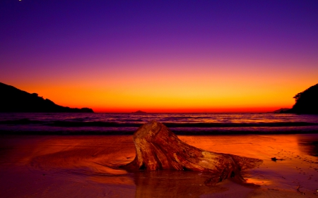 FABULOUS SUNSET - sunset, stump, nature, beach