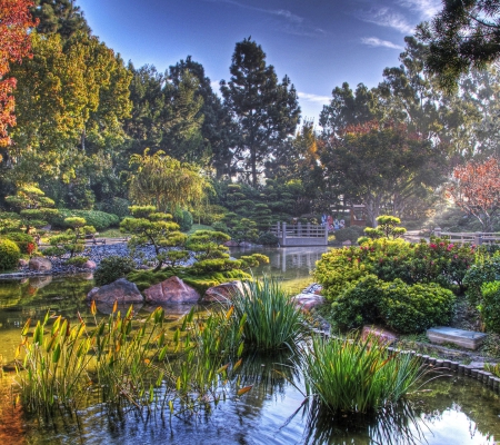 Water stream - trees, water, beautiful, stream, forest, stones, flowers, nature, plants, stream water, peaceful