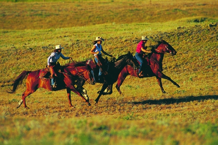 Range Riders - women, style, fun, girls, models, female, cowgirls, hats, boots, western, horses, ranch