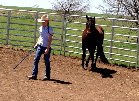 Today We Learn To? - girls, women, style, fun, models, training, female, cowgirls, boots, hats, western, horses, ranch