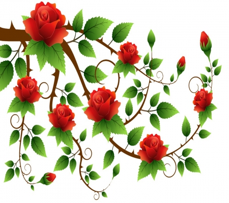 Roses - leaves, design, roses, branch