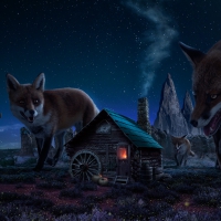 Night of the Demon Foxes