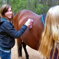 Cowgirls At Work