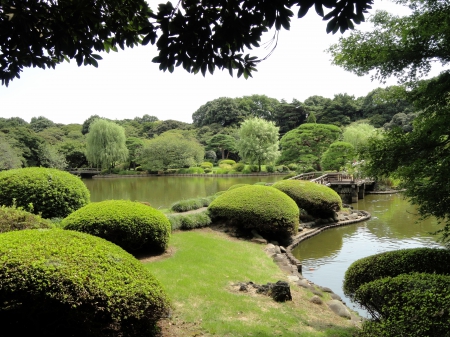 Japanese Garden - scenery, tokyo, japan, nature, farden, lake, shinjuku, park, japanese