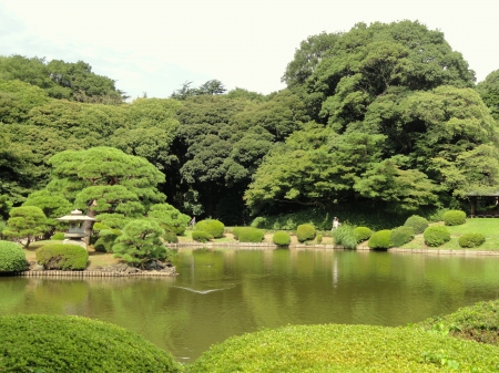 Japanese Garden - shinjuku, lake, tokyo, park, japanese, nature, japan, scenery, garden