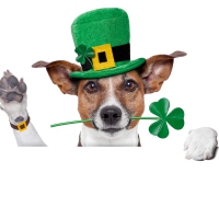Happy Saint Patrick's Day
