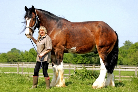 Big Horse - girls, women, style, fun, models, female, cowgirls, boots, western, horses, blondes, ranch